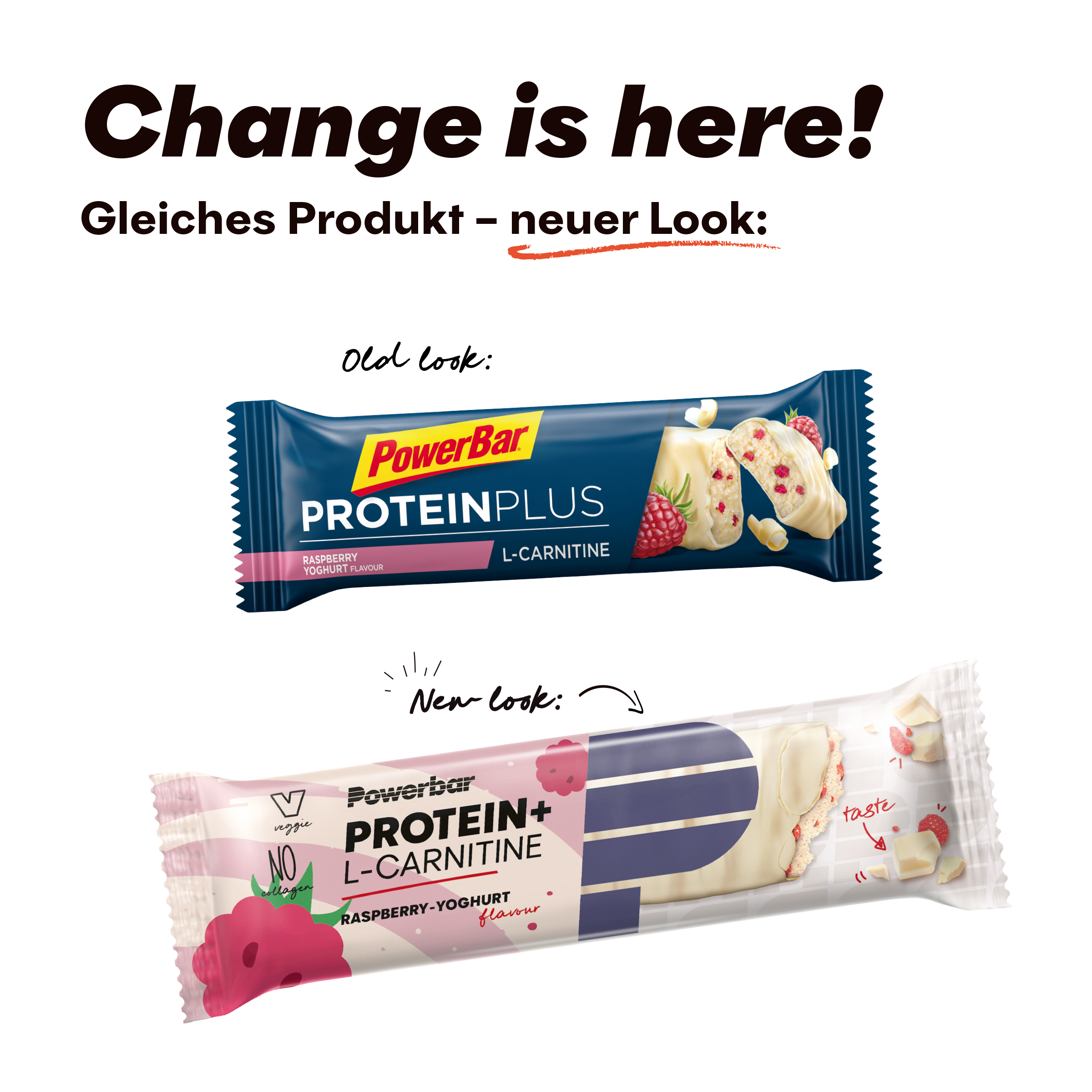 Protein Plus + L-Carnitine
